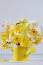 Springtime daffodils in full bloom on white wooden table