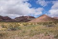 Springtime desert Landscape near Calico California