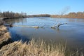 Springtime Desna rive flood.