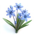 Delightful Bouquet of Blue Scilla Flowers Isolated on White Background Royalty Free Stock Photo