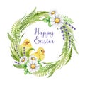 Springtime Easter floral wreath with chicks. Watercolor hand drawn illustration. Lush wreath from green grass, fern