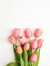 Springtime, easter. Pink tulips on white background, top view