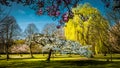 Springtime in an English parkland. Royalty Free Stock Photo