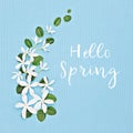 Springtime floral composition on blue background with text Hello Spring Royalty Free Stock Photo