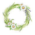 Springtime floral wreath with daisy flowers. Watercolor hand drawn illustration. Lush wreath from green grass, fern