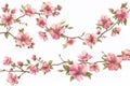 Springtime Florals: Delicate floral clip art depicting blooming flowers, budding branches, Easter season Royalty Free Stock Photo