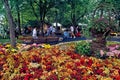 Springtime Florals in Blazing Glory in the Park