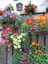 Springtime Flower Baskets on Wood Fence