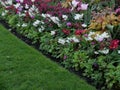 Springtime flower bed with assorted pink and white flowers and colourful foliage Royalty Free Stock Photo