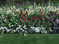 Springtime flower bed with red, purple and white flowers and foliage Royalty Free Stock Photo
