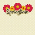 Springtime with flowers, greeting card, flower background pattern, blank Royalty Free Stock Photo