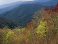 Springtime foliage in the Cherokee National Forest, Great Smoky Mountains National Park, North Carolina Royalty Free Stock Photo