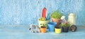 Springtime gardening, young flowers,herbs, gardening utensils