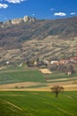 Springtime green landscape - meadow and mountain Royalty Free Stock Photo