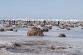 Springtime in Gulf of Riga covered with melting ice stacks and closeup of stone