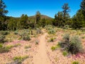 Cline View Hike Royalty Free Stock Photo