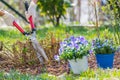 Springtime home gardening, trimming and planting flowers