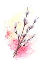 Watercolor springtime fuzzy willow tree on watercolor spotted background. Hand drawn illustration