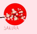 Springtime japanese background with blossoming cherry sakura tree brunches, sakura lettering and red sun. Flat design