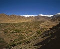 Springtime in Ladakh Royalty Free Stock Photo