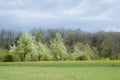Landscape in spring Royalty Free Stock Photo