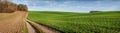 green fields on winter wheat hills, dirt road near forest and cloudy sky Royalty Free Stock Photo