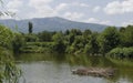 Springtime landscape in zoo Sofia