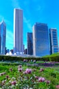 Springtime at Lurie Garden in Millenium Park, Chicago Royalty Free Stock Photo