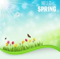 Springtime meadow background with tulip flowers and butterflies Royalty Free Stock Photo