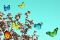 Springtime nature abstract Royalty Free Stock Photo