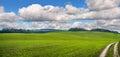 panorama of greenfields hills, near forest and cloudy sky