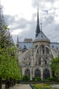 Springtime in Paris with the Notre Dame de Paris