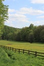 Springtime pasture