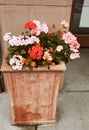 Springtime at Pearl Street Mall in Boulder