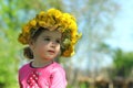 Close up portrait of a cute laughing two years old girl wearing a dandelion wreath Royalty Free Stock Photo