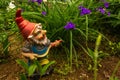 Springtime purple flowers watered by dwarf