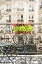 Springtime with red geraniums on a balcony in Paris, France