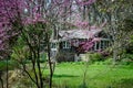 Springtime redbuds and summer house