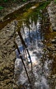 Springtime Reflections in the water along the muddy road Royalty Free Stock Photo