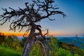 Springtime at Scenic Blue Ridge Parkway Appalachians Smoky Mount Royalty Free Stock Photo