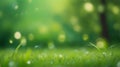 Springtime Serenity: Sunny Garden Bliss with Lush Green Grass and Foliage Bokeh. Royalty Free Stock Photo