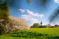 Springtime Serenity: Vibrant Village Scenic Beauty Royalty Free Stock Photo