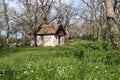 Springtime by a sheep shed in a green meadow