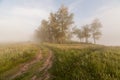 The Springtime Shoreline of a Foggy Mountain Lake at Sunrise