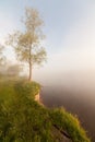 The Springtime Shoreline of a Foggy Mountain Lake at Sunrise