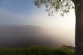 The Springtime Shoreline of a Foggy Mountain Lake at Sunrise