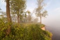 The Springtime Shoreline of a Foggy Mountain Lake at Sunrise