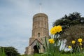 Old Village Church and Daffodils