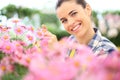 Springtime, smiling woman in garden of daisies flowers Royalty Free Stock Photo