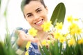 Springtime, smiling woman in garden takes care of flowers Royalty Free Stock Photo
